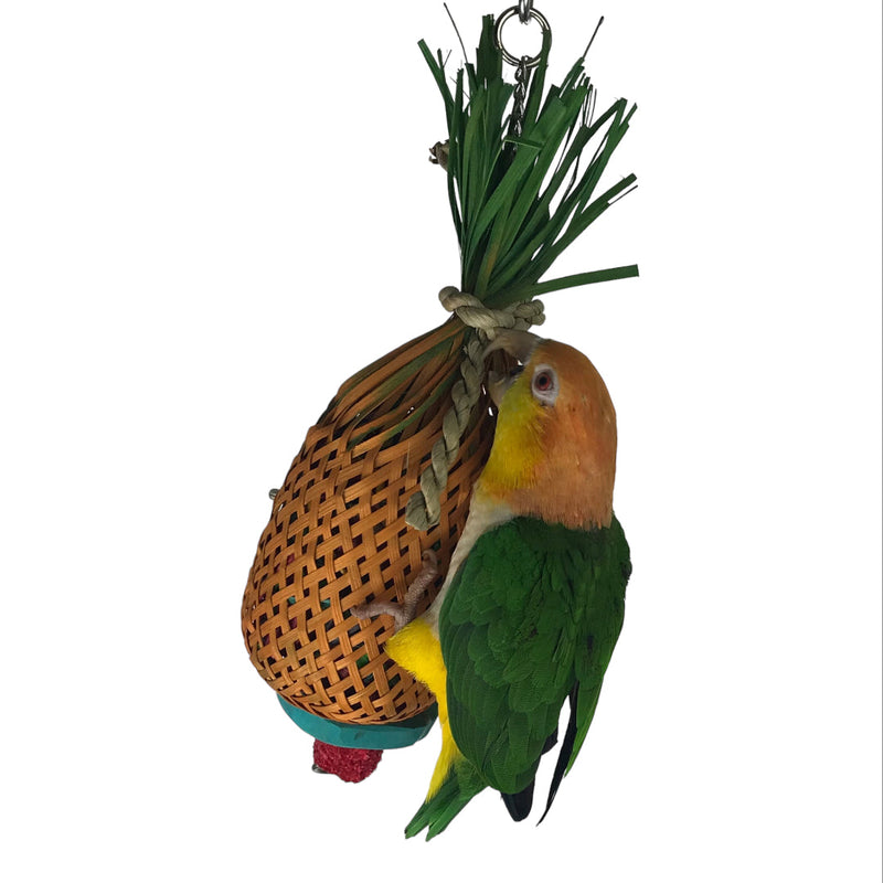 Ninos Java Pineapple foraging Toy for Birds Small