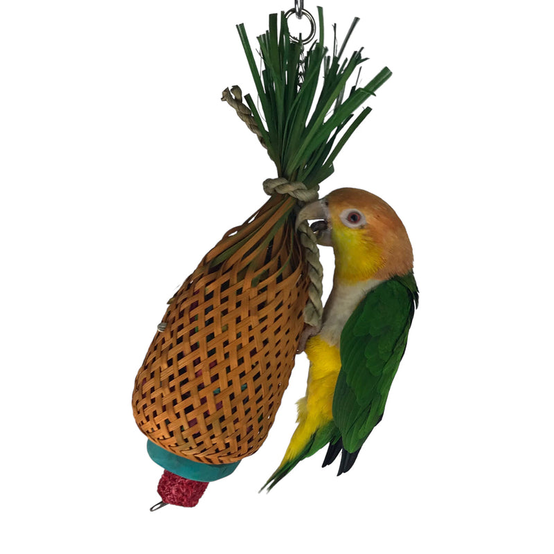 Ninos Java Pineapple foraging Toy for Birds Small
