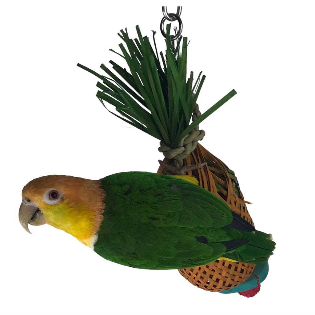Ninos Java Pineapple foraging Toy for Birds Small-Habitat Pet Supplies