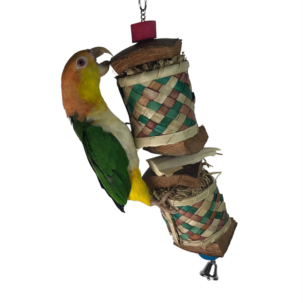 Ninos Java Tom Tom Foraging Toy for Birds Large-Habitat Pet Supplies