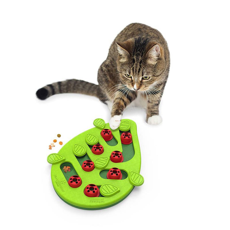 Outward Hound Nina Ottosson Bugging Out Puzzle and Play Cat Toy
