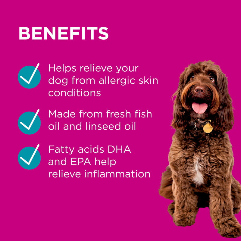 PAW by Blackmores Dermega Skin Support Fish Oil for Dogs (200ml)