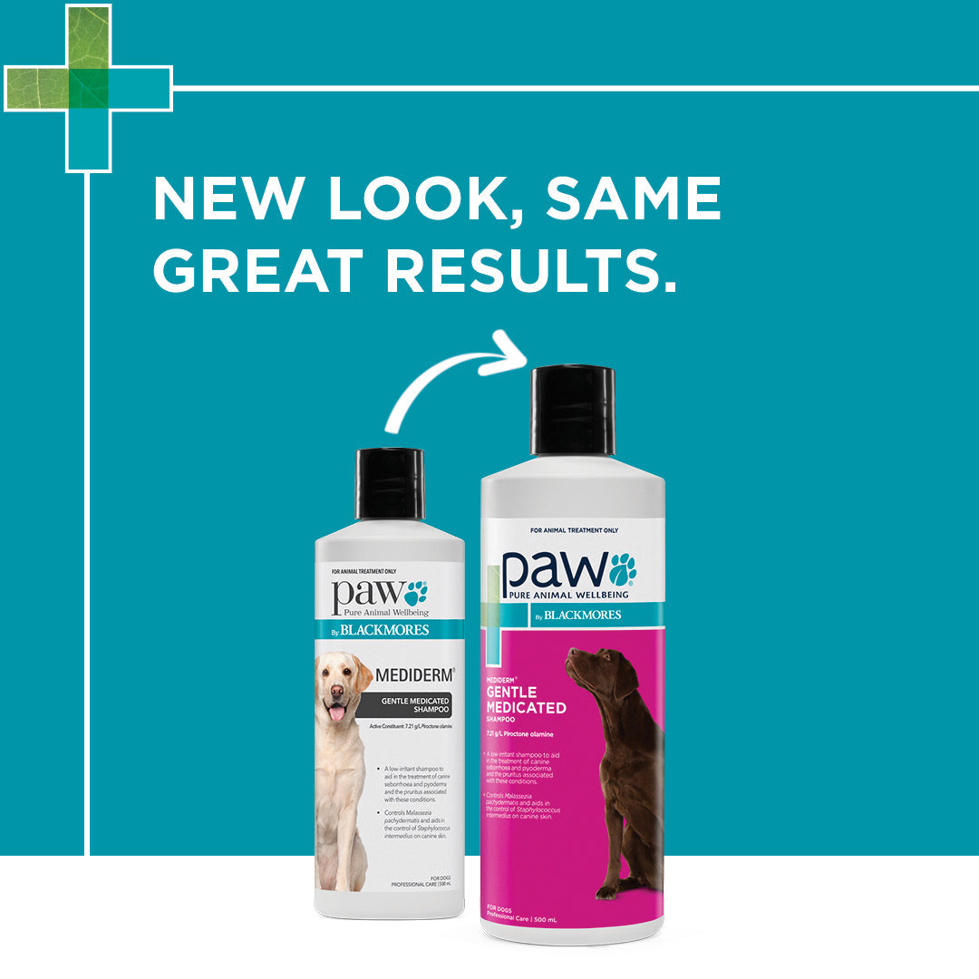 Mediderm dog discount shampoo