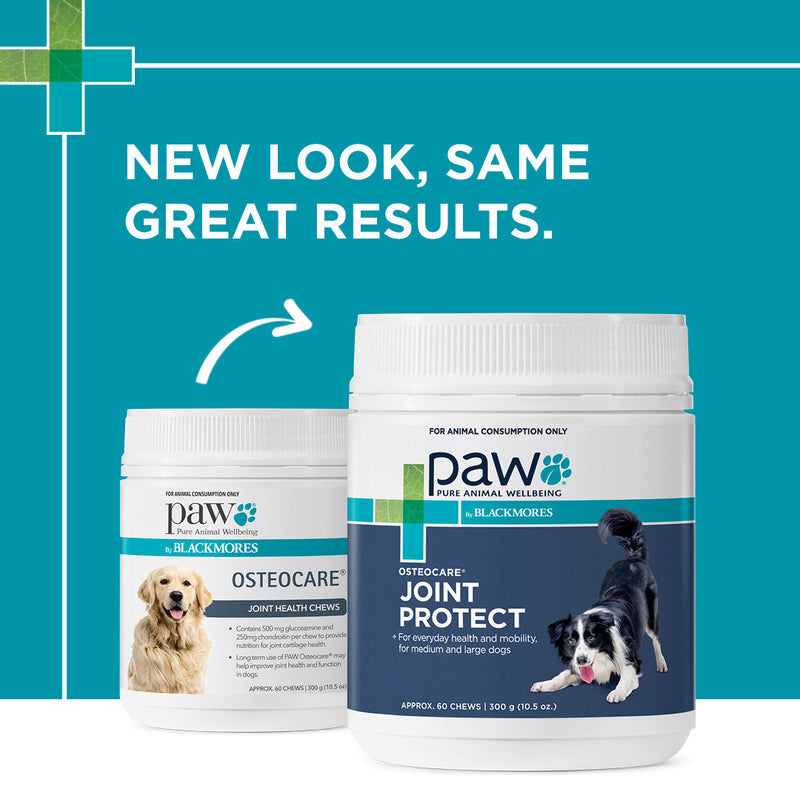 PAW by Blackmores Osteocare Joint Protect Chews for Dogs 300g