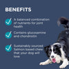 PAW by Blackmores Osteocare Joint Protect Chews for Dogs 300g