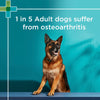 PAW by Blackmores Osteocare Joint Protect Chews for Dogs 300g
