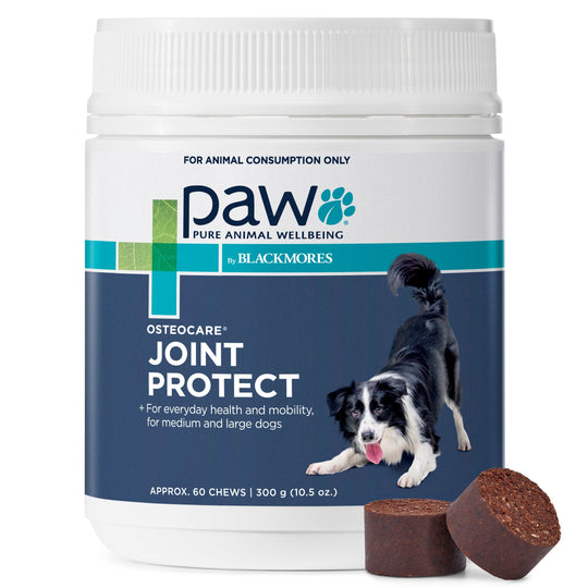 PAW by Blackmores Osteocare Joint Protect Chews for Dogs 300g