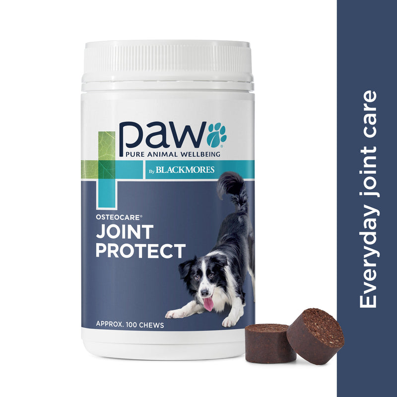 PAW by Blackmores Osteocare Joint Protect Chews for Dogs 500g