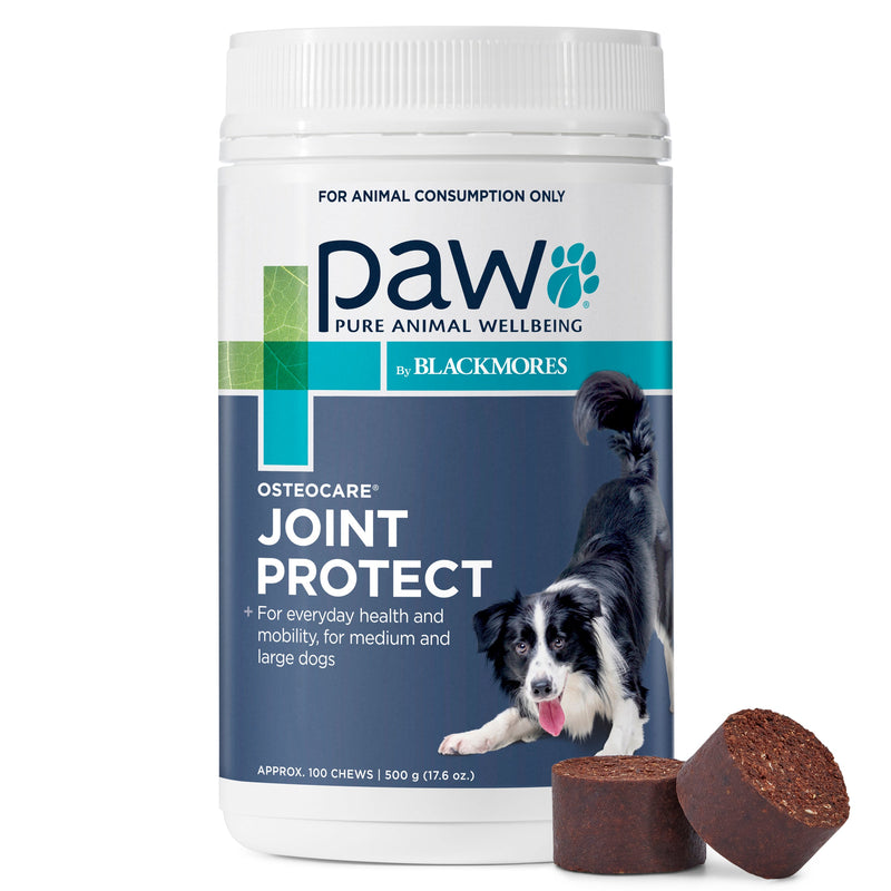 PAW by Blackmores Osteocare Joint Protect Chews for Dogs 500g-Habitat Pet Supplies