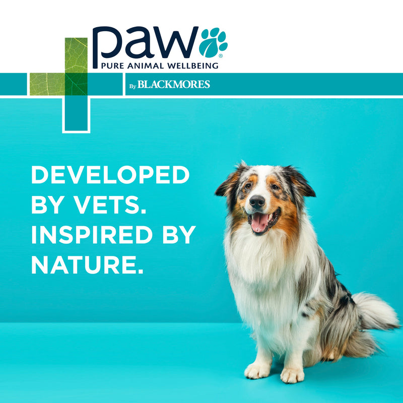 PAW by Blackmores Osteosupport Joint Care Powder Capsules for Dogs 80 Pack