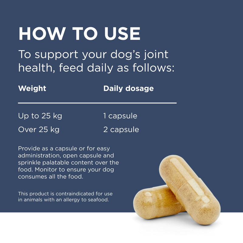 PAW by Blackmores Osteosupport Joint Care Powder Capsules for Dogs 80 Pack