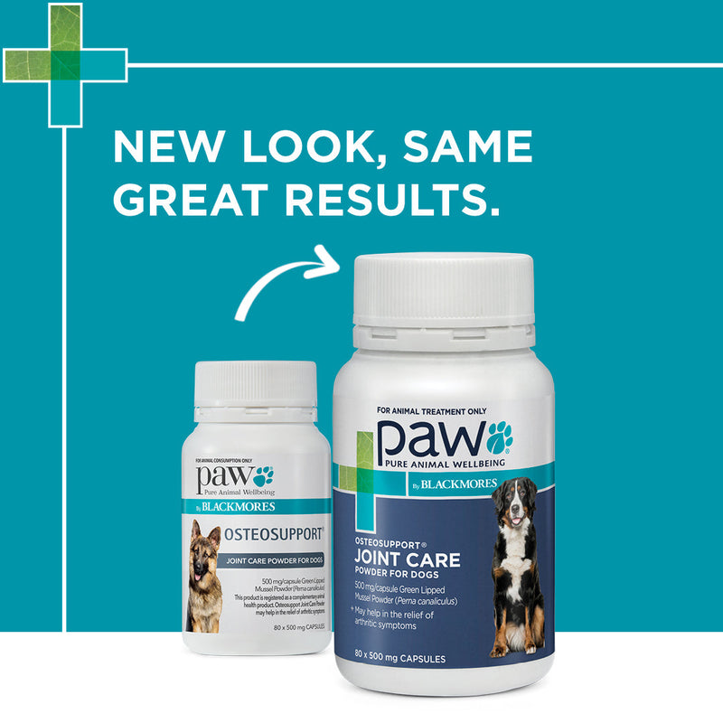 PAW by Blackmores Osteosupport Joint Care Powder Capsules for Dogs 80 Pack
