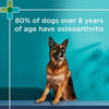 PAW by Blackmores Osteosupport Joint Care Powder Capsules for Dogs 80 Pack