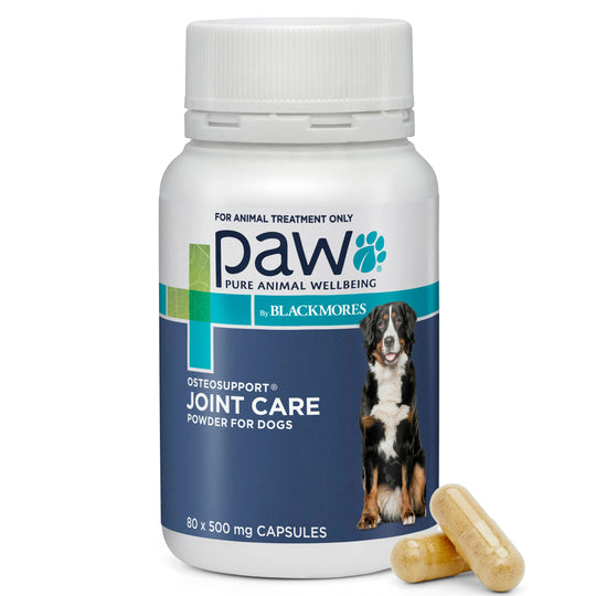 PAW by Blackmores Osteosupport Joint Care Powder Capsules for Dogs 80 Pack