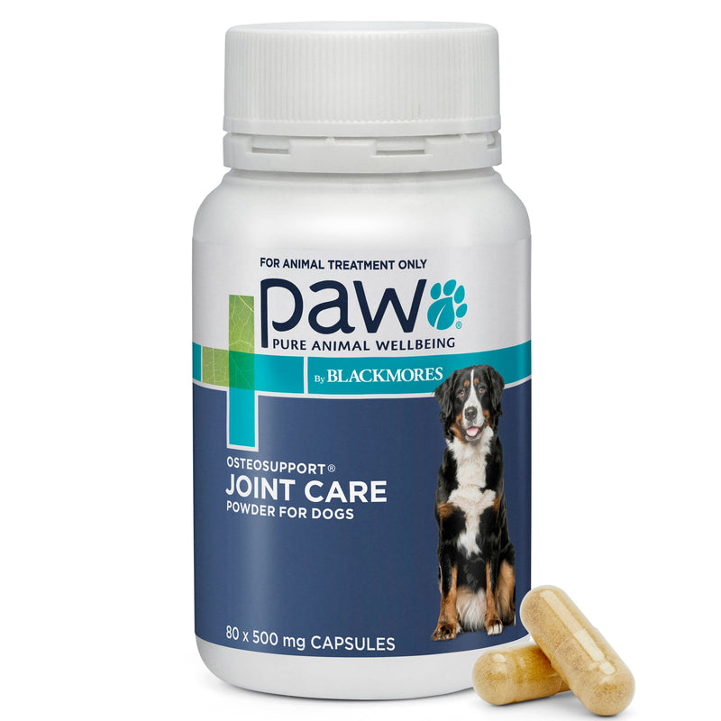PAW by Blackmores Osteosupport Joint Care Powder Capsules for Dogs 80 Pack-Habitat Pet Supplies
