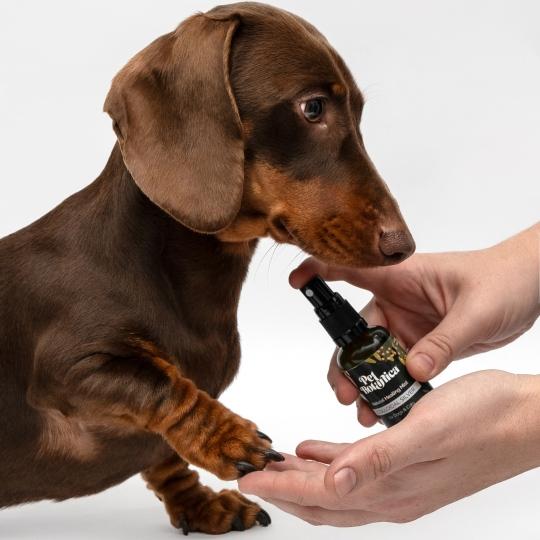 Pet Botanica Colloidal Silver Natural Healing Mist for Dogs 50ml