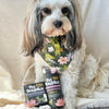 Pet Botanica Dry Shampoo Powder Calming Aroma for Dogs 65g