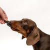 Pet Botanica Kangaroo Lung Crisps Dog Treats 65g