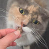 Pet Botanica Lamb Lung Puffs Dog Treats 50g