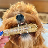 Pet Botanica Mantis Shrimp Dog Treats 50g