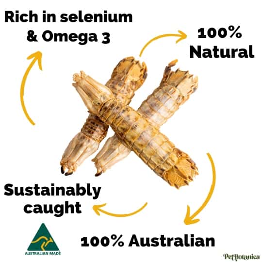 Pet Botanica Mantis Shrimp Dog Treats 50g