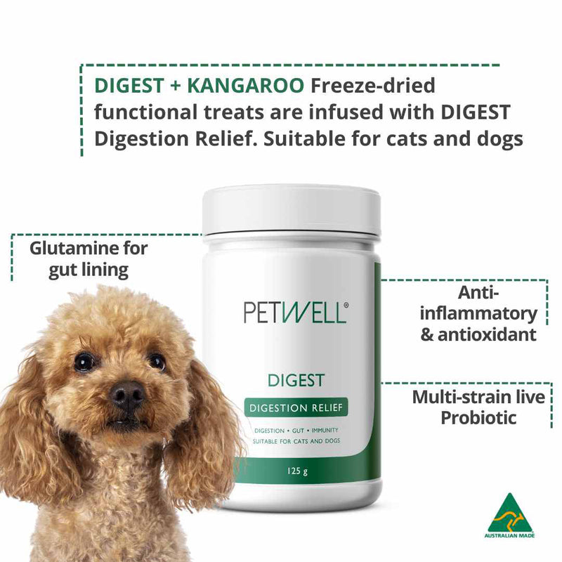 PetWell Digest Natural Pet Digestion Supplement for Dogs and Cats 125g