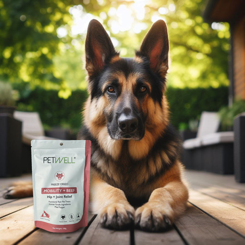 PetWell Freeze Dried Beef with Mobility Support Functional Treats for Dogs and Cats 80g