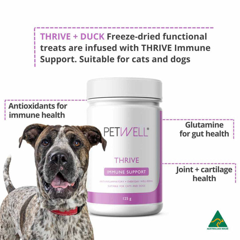 PetWell Thrive Immune Support Formula for Dogs and Cats 125g