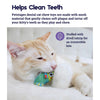 Petstages Catnip Dental Health Mice Toy for Cats 2 Pack