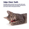 Petstages Catnip Dental Pretzel Toy for Cats