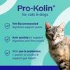 Protexin Pro Kolin+ Probiotic Paste for Dogs and Cats 30ml