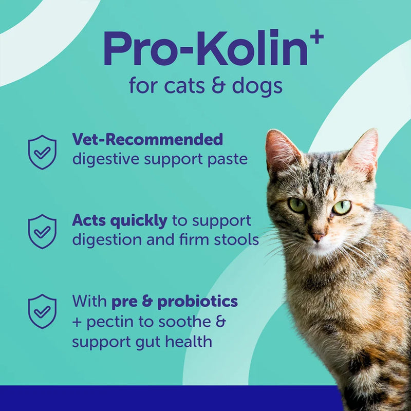 Protexin Pro Kolin+ Probiotic Paste for Dogs and Cats 30ml