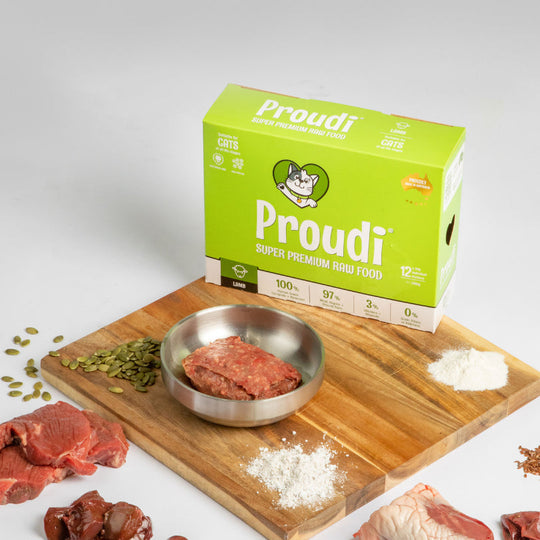 Proudi Lamb Raw Cat Food Patties 1.08kg