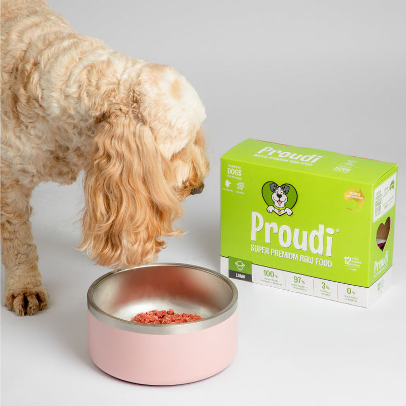 Proudi Lamb Raw Dog Food Patties 2.4kg-Habitat Pet Supplies