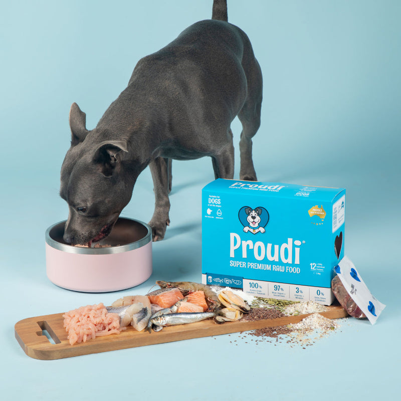 Proudi Ocean Combo and Turkey Raw Dog Foos 2.4kg-Habitat Pet Supplies