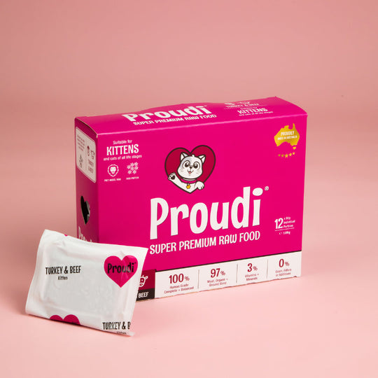 Proudi Turkey and Beef Raw Cat Food Kitten Patties 1.08kg