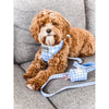 Pupstyle Suburban Collection Blueberry Muffin Dog Harness Medium