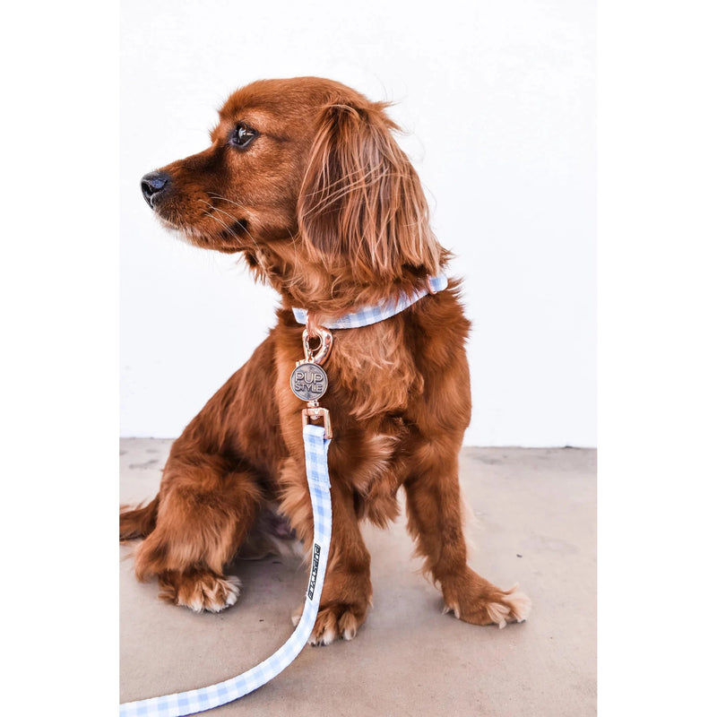Pupstyle Suburban Collection Blueberry Muffin Dog Lead