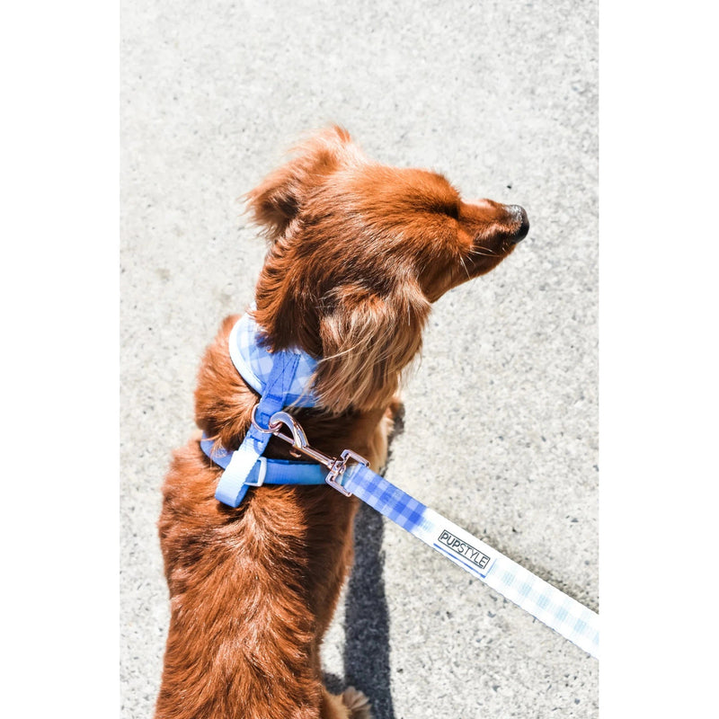 Pupstyle Suburban Collection Blueberry Muffin Dog Lead