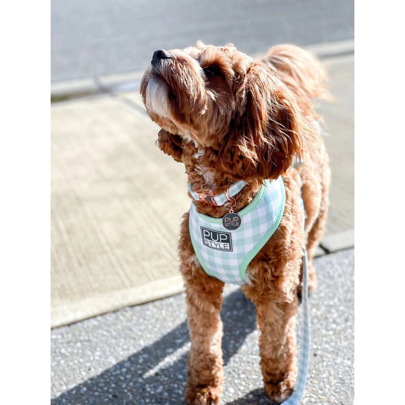 Pupstyle Suburban Collection Sweet Apple Dog Collar Medium