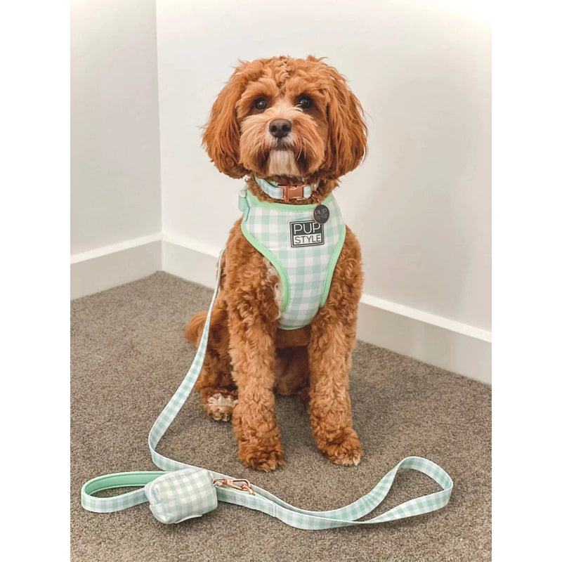 Pupstyle Suburban Collection Sweet Apple Dog Harness Extra Large