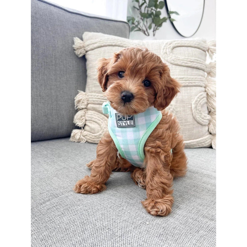 Pupstyle Suburban Collection Sweet Apple Dog Harness Extra Small