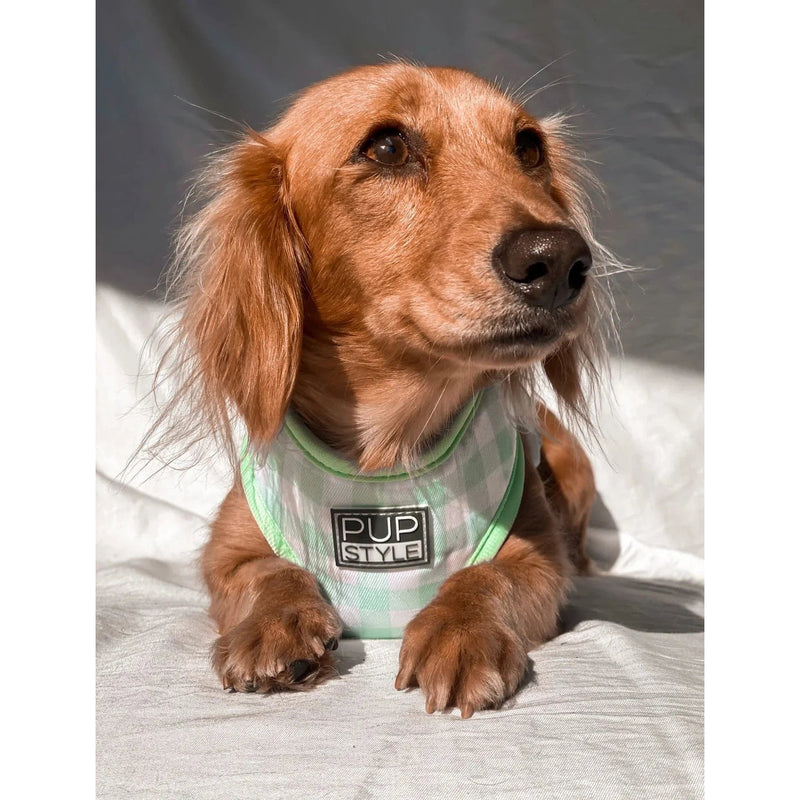Pupstyle Suburban Collection Sweet Apple Dog Harness Extra Small