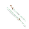 Pupstyle Suburban Collection Sweet Apple Dog Lead