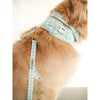 Pupstyle Suburban Collection Sweet Apple Dog Lead