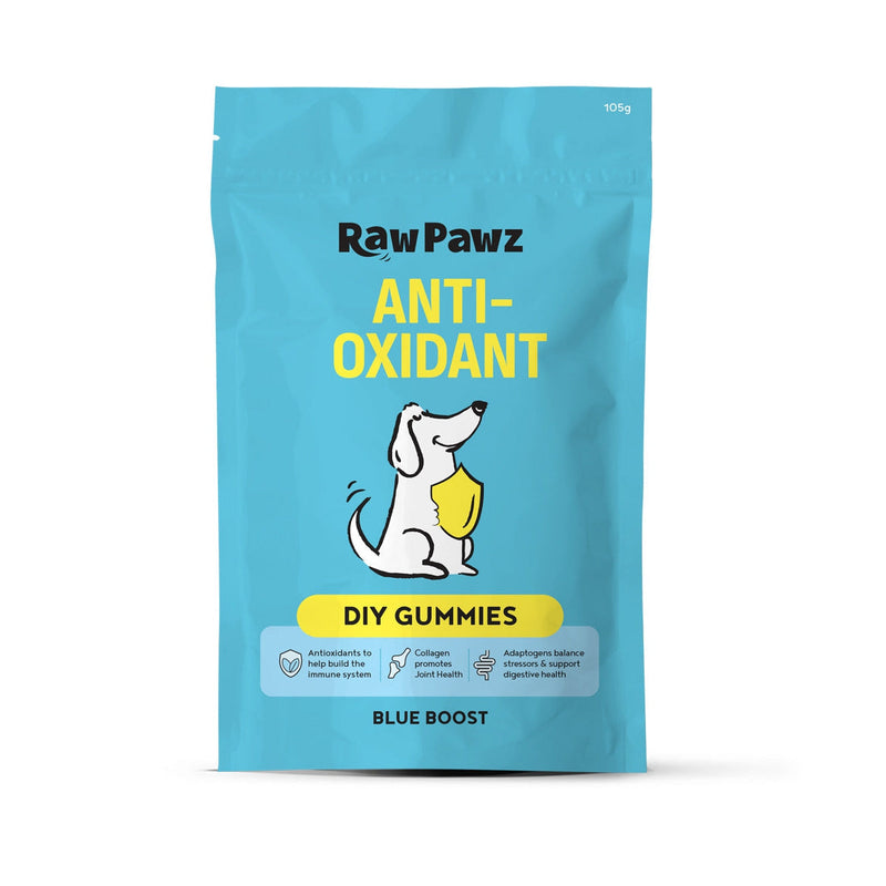 Raw Pawz DIY Gummies Blue Boost Dog Treats 90g-Habitat Pet Supplies