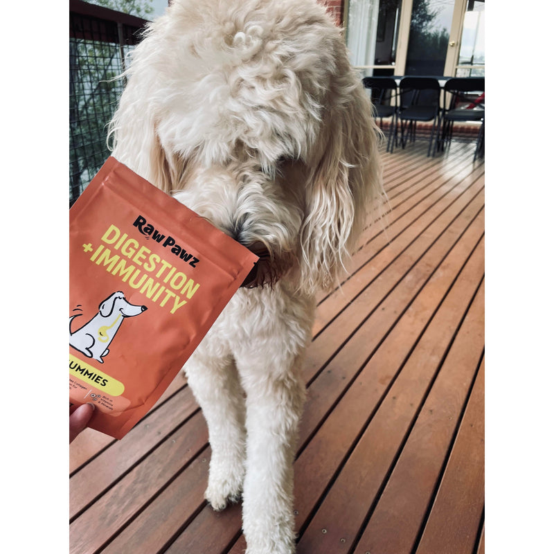 Raw Pawz DIY Gummies Red Velvet Dog Treats 90g