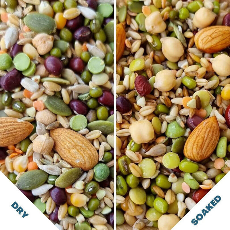 Raw for Birds Chunky Soaking Blend for Large Birds 250g***