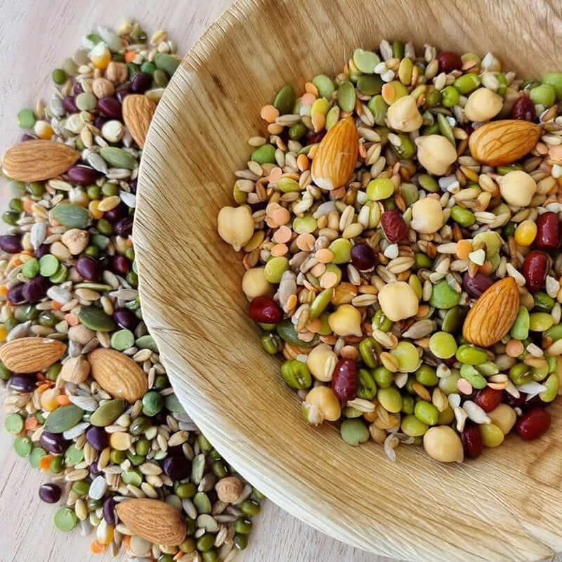 Raw for Birds Chunky Soaking Blend for Large Birds 250g***