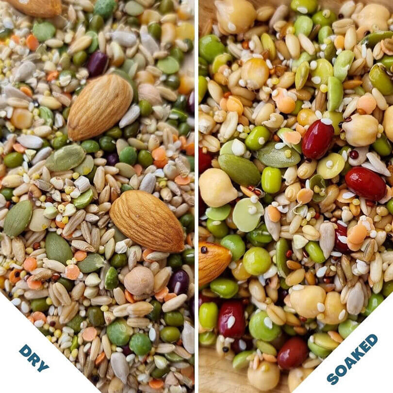Raw for Birds Flock Soaking Blend 2kg***